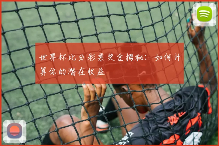世界杯比分彩票奖金揭秘：如何计算你的潜在收益