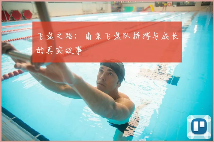 飞盘之路:南京飞盘队拼搏与成长的真实故事