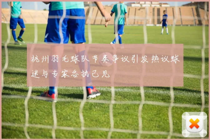 杭州羽毛球队节奏争议引发热议球迷与专家各执己见
