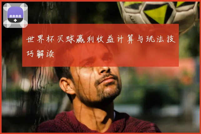 世界杯买球赢利收益计算与玩法技巧解读