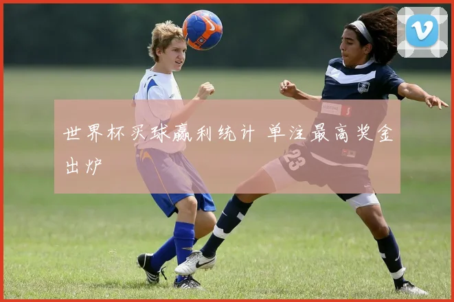 世界杯买球赢利统计 单注最高奖金出炉