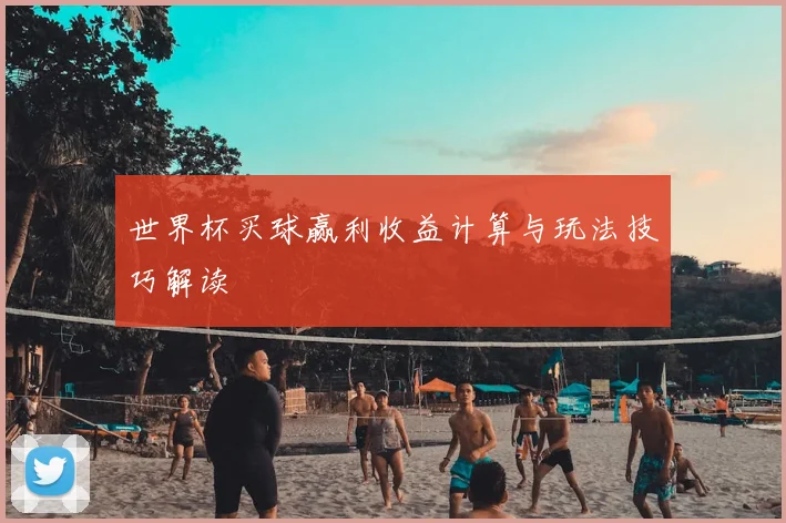 世界杯买球赢利收益计算与玩法技巧解读
