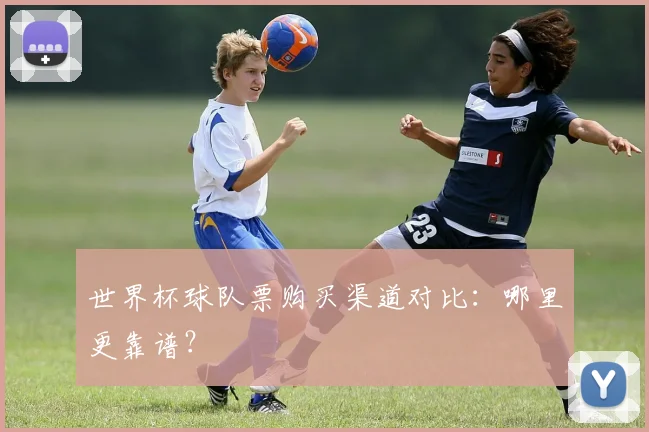世界杯球队票购买渠道对比：哪里更靠谱？